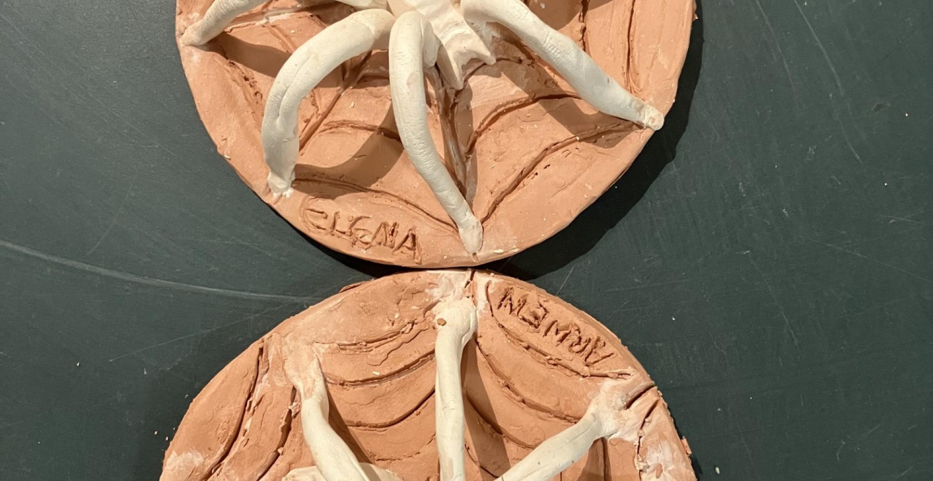 bas relief présentant une araignée