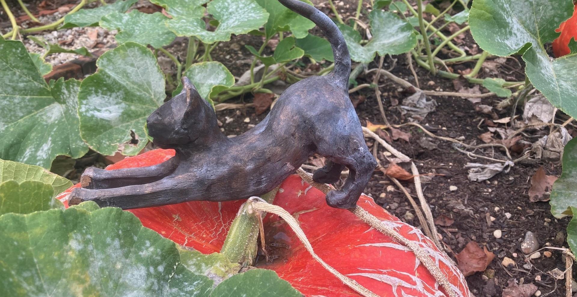 un chat posé sur une citrouille