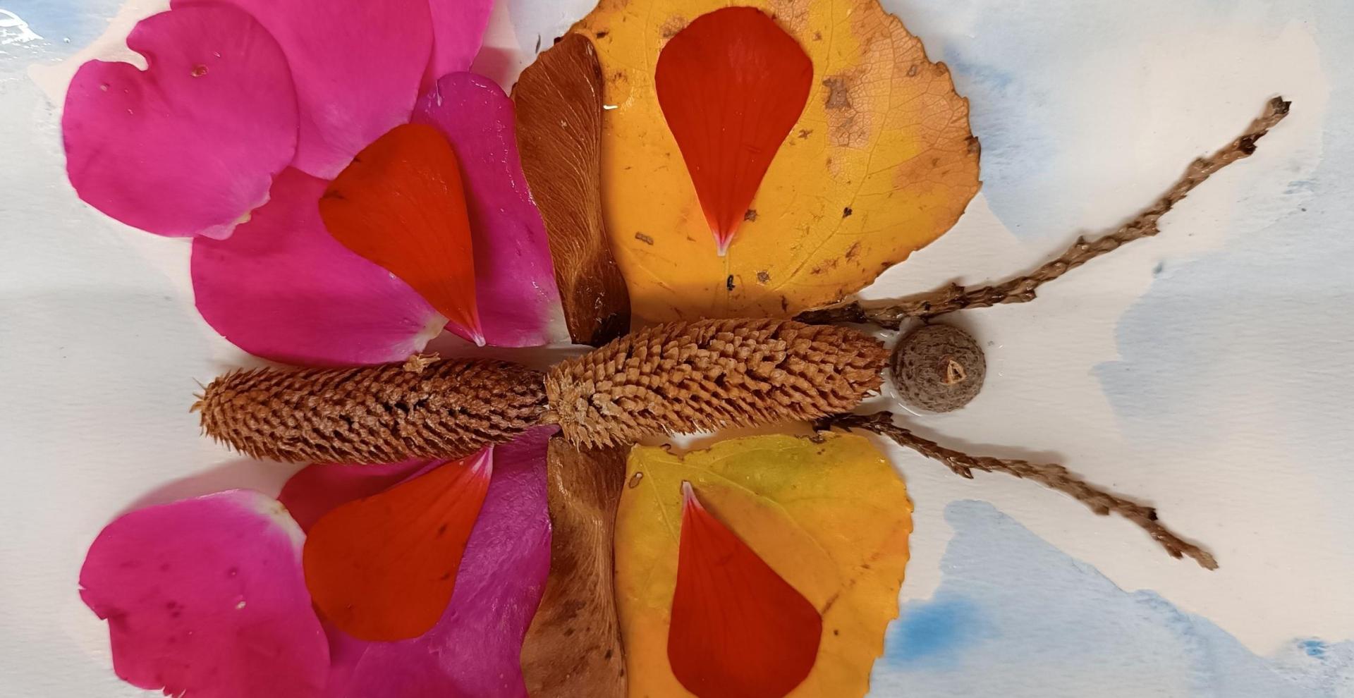 collages d'éléments végétaux pour créer un papillon coloré