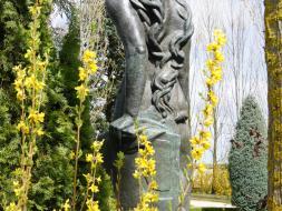 Agrandir l’image