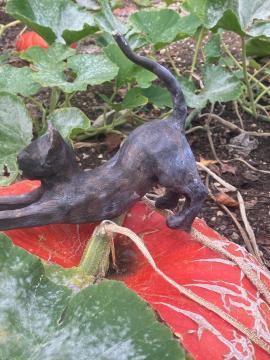 un chat posé sur une citrouille