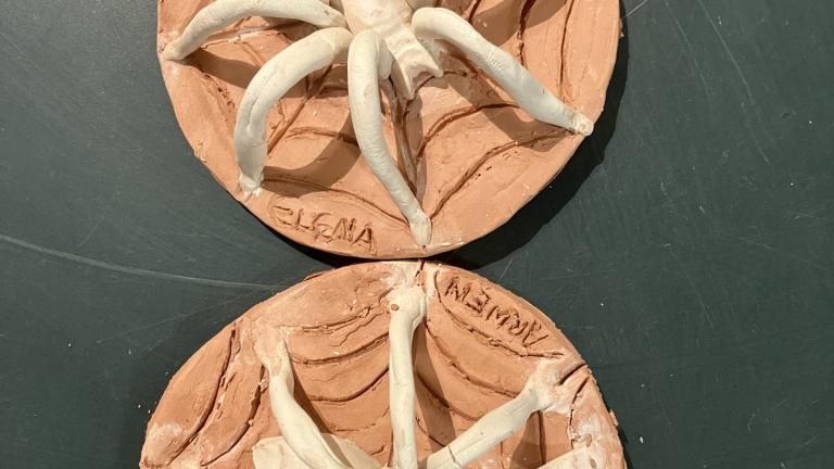bas relief présentant une araignée