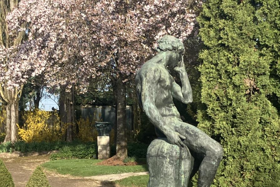 statue d'Adam sur fond de cerisiers en fleur